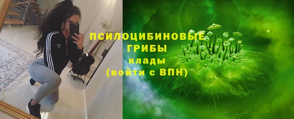 мяу мяу мука Алзамай
