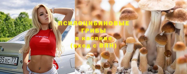 мяу мяу мука Алзамай