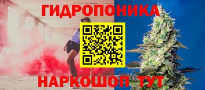 ешки Гатчина