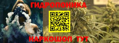 гашик Гагарин