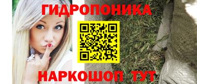 ешки Гатчина