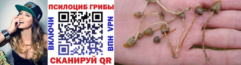 Псилоцибиновые грибы мухоморы  Набережные Челны 