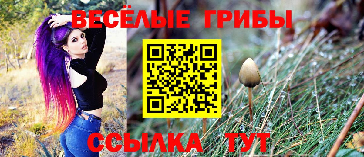 Галлюциногенные грибы ЛСД  Вход с VPN  Набережные Челны 