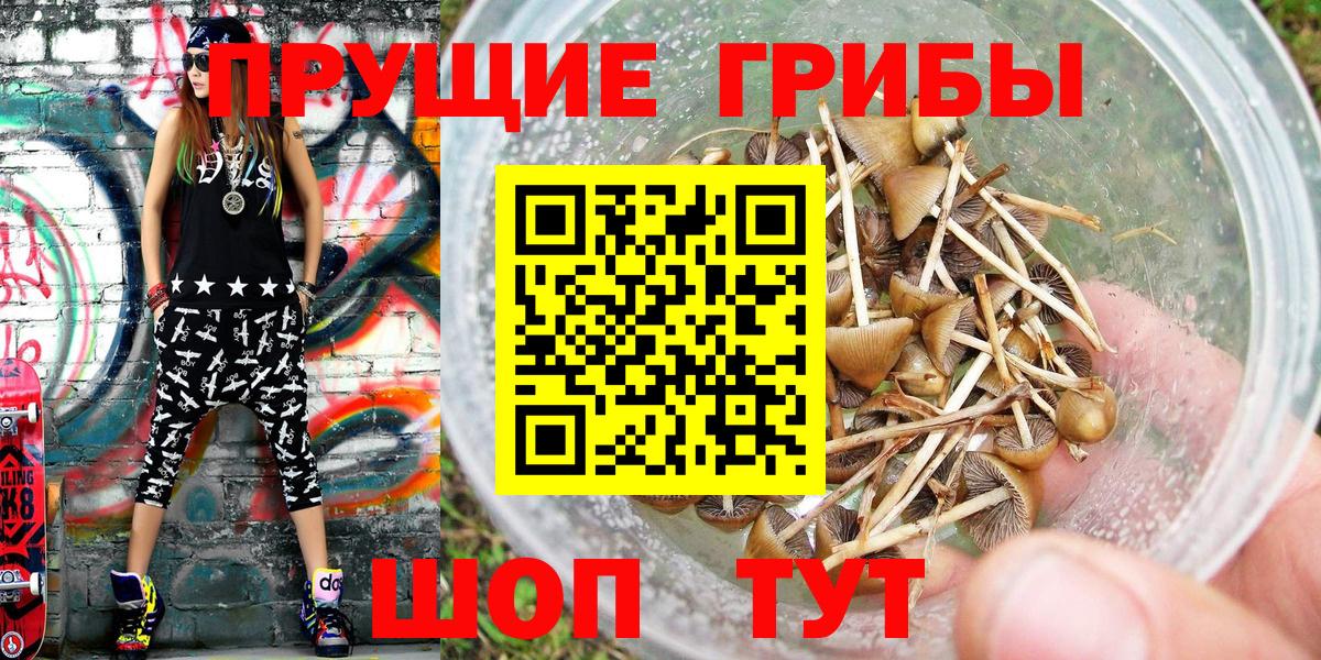 Галлюциногенные грибы прущие грибы Набережные Челны